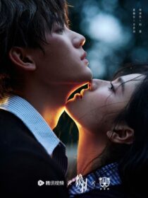 5949335127748365248 1211