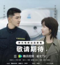 quality restoration 20250716180252015